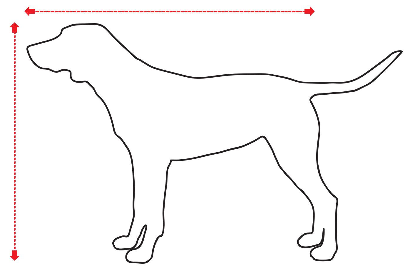 Dog measuring guide